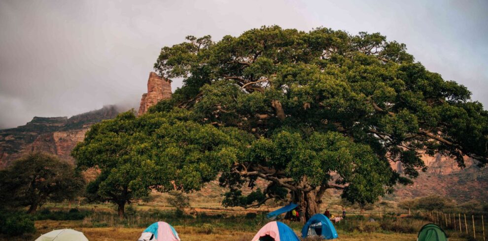 9d8afed0-ab51-4bed-8eb6-01b178444f1d